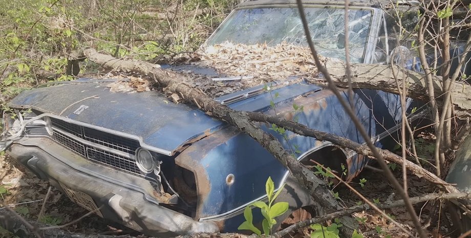 авто в лісі, Dodge Dart, Dodge Dart 1968, Dodge Dart GTS, кабріолет Dodge