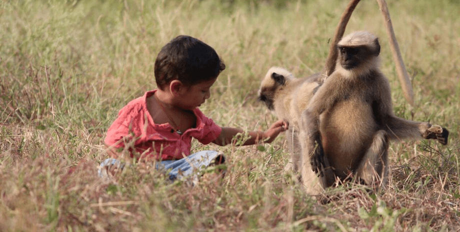 Мальчик Маугли, реинкарнация Бога, ребенок, мальчик, мальчик играет с обезьянами, кормит животных, проводил время с обезьянами