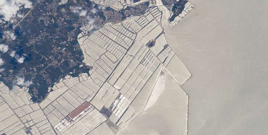 Фото: NASA Earth Observatory