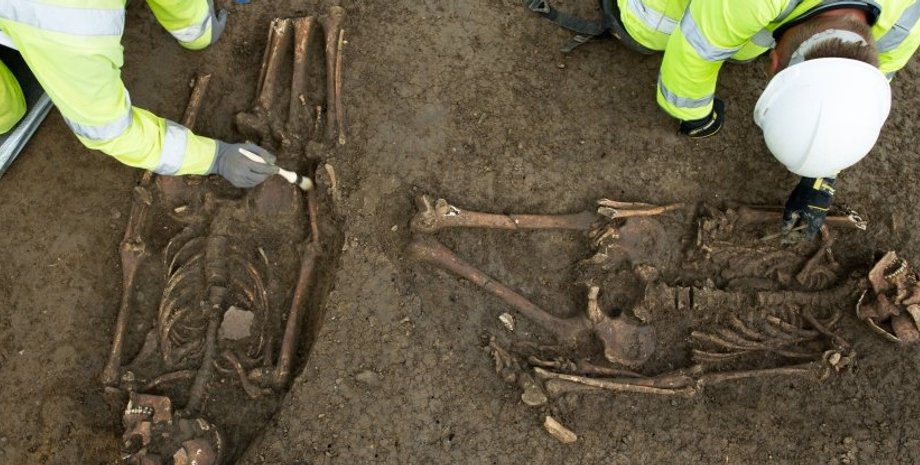 Фото с сайта sciencealert.com