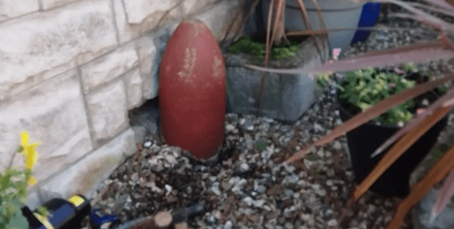 Бомба в саду, снаряд в саду, саперы взорвали бомбу, взорвали снаряд в карьере, играли дети, стоял в саду, украшение, декор