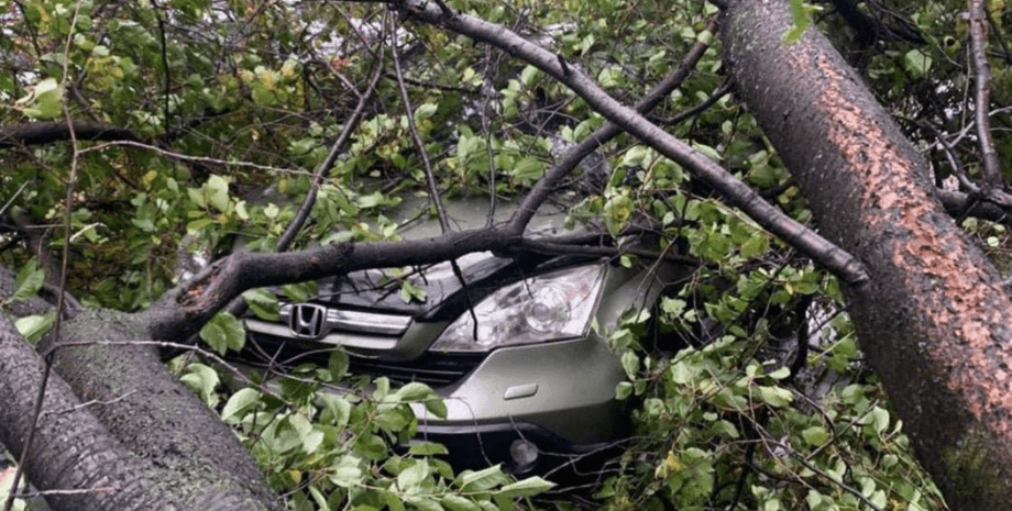 Одессу накрыла мощная буря: ветер поднял тучи пыли, валит деревья