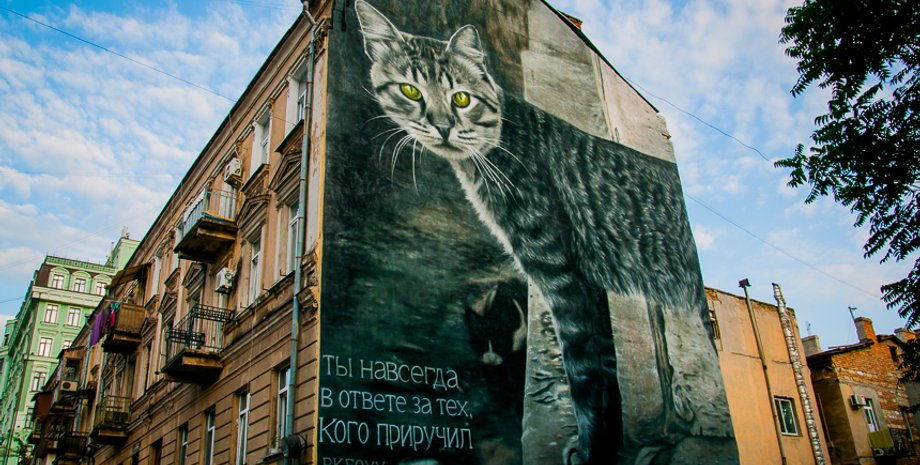 Фото: Южный курьер