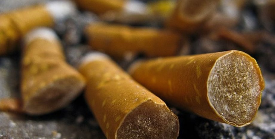 Фото: Resilience.org