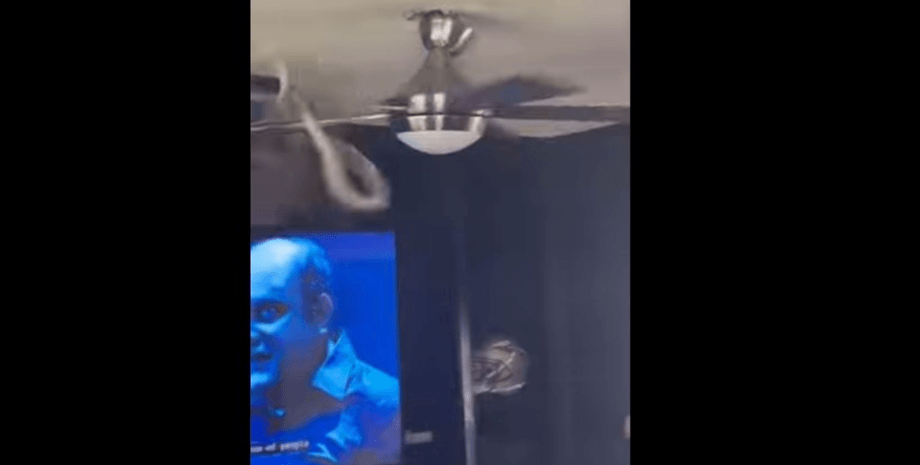 змія вентилятор