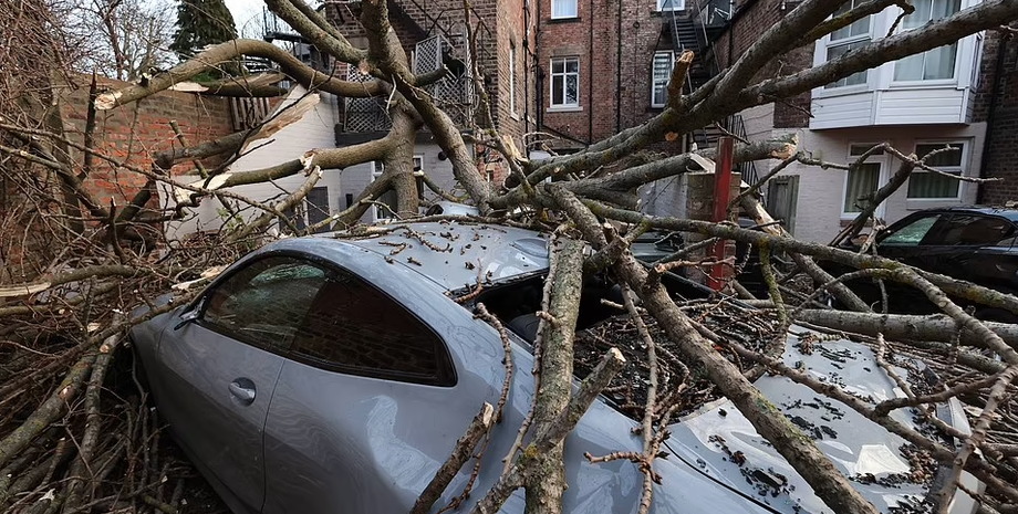 Ураган, шторм, Британия, дерево упало на машину, погода