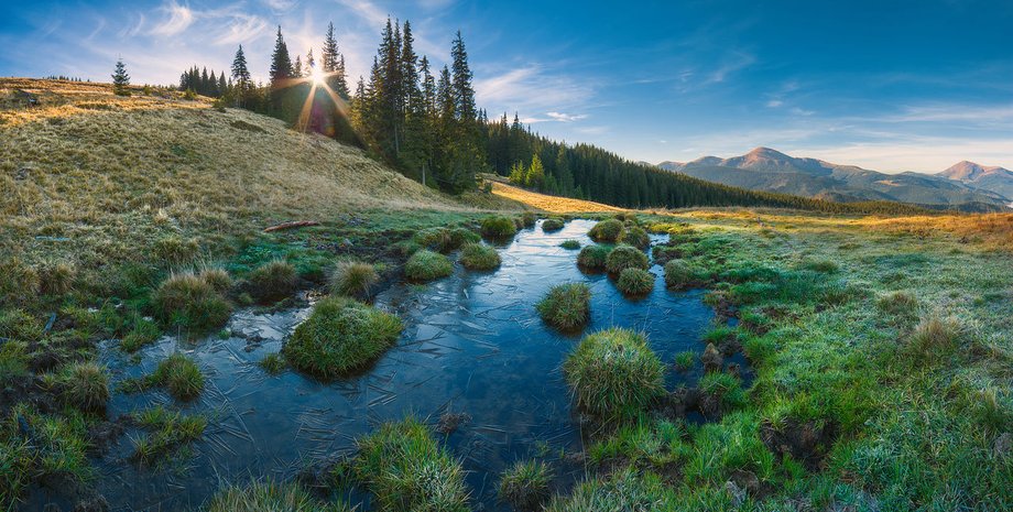 Карпатский биосферный заповедник / Фото: businessviews.com.ua