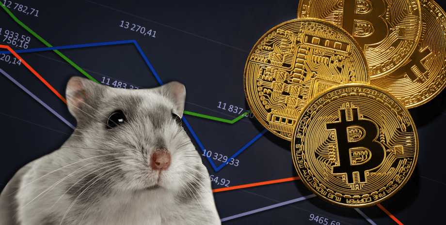 Містер Гокс