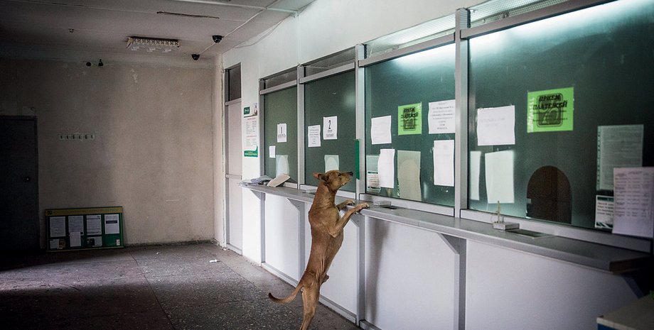 Фото: Getty Images