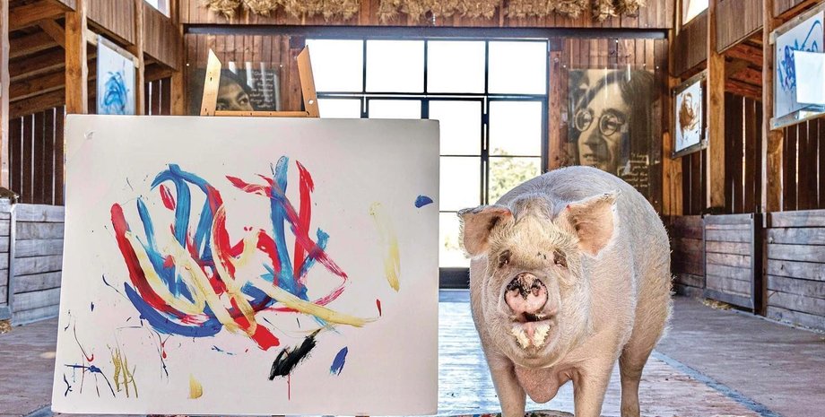 Свинка Пігкассо