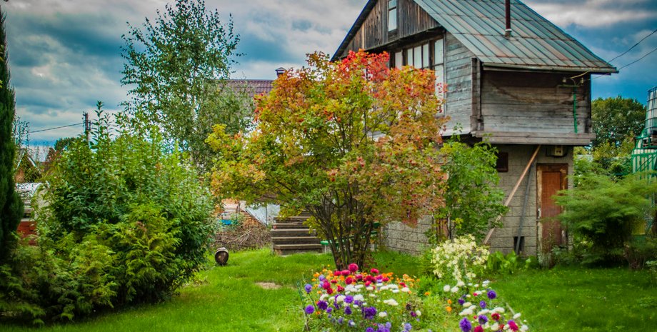 Фото: ФотоКто