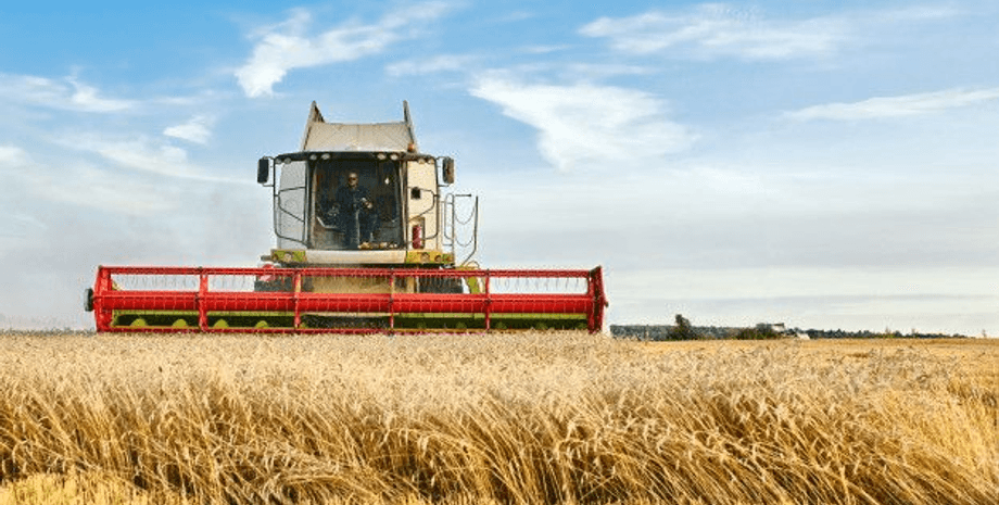 комбайн, поле, пшеница