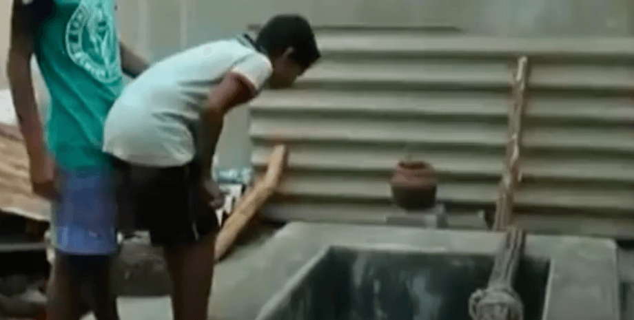 Обезьяны в Индии , макаки