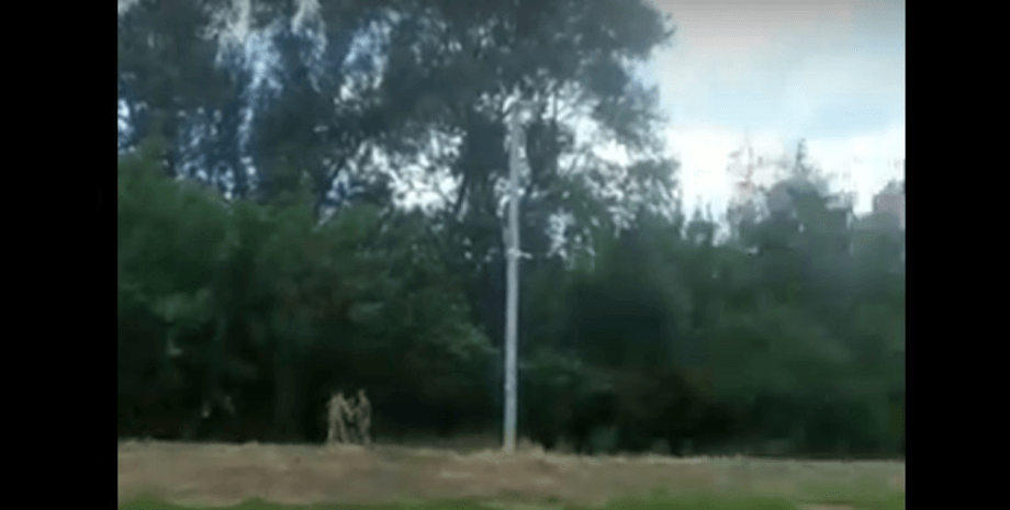 повістка дніпро стрілянина