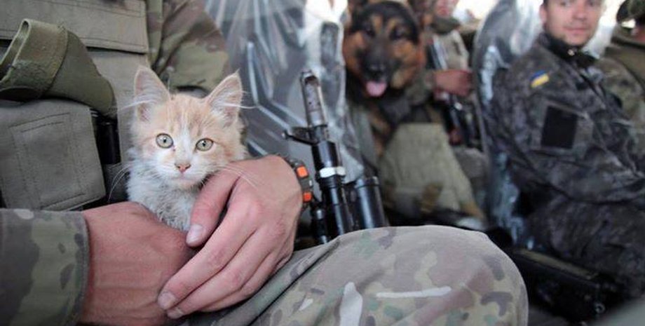 Фото: horoshiyblog