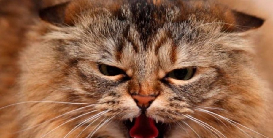 Фото:kr.consumer.gov.ua