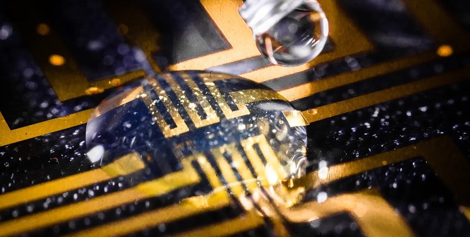 электрод, биоинженерия, биотехнологии