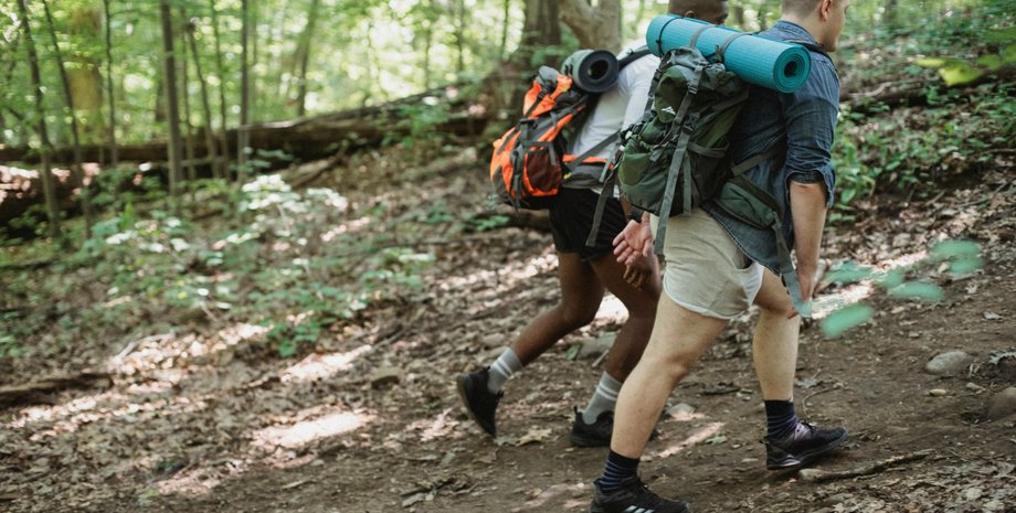 Отец и сын заметили необычные вещи в лесу под деревом, которые напугали пользователей соцсетей