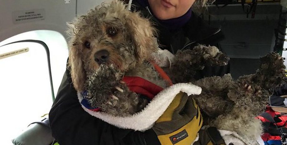 Фото: hmcoastguard.blogspot.com