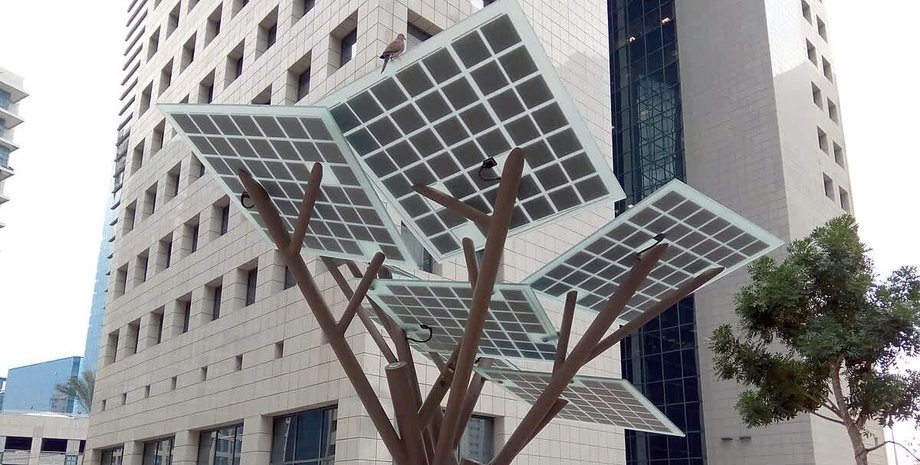 Солнечное дерево в Израиле