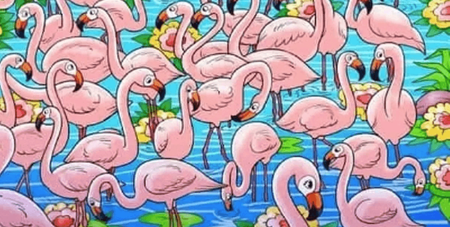Визуальная головоломка, оптическая иллюзия, тест, проверка зрения, тренировка памяти, фламинго, девочка среди фламинго, желтые волосы