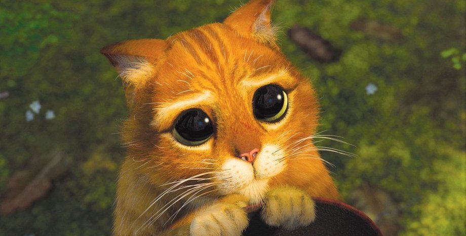 Кіт у чоботях, котик зі шрека, шрек, мультфільм Шрек, Всесвітній день котів