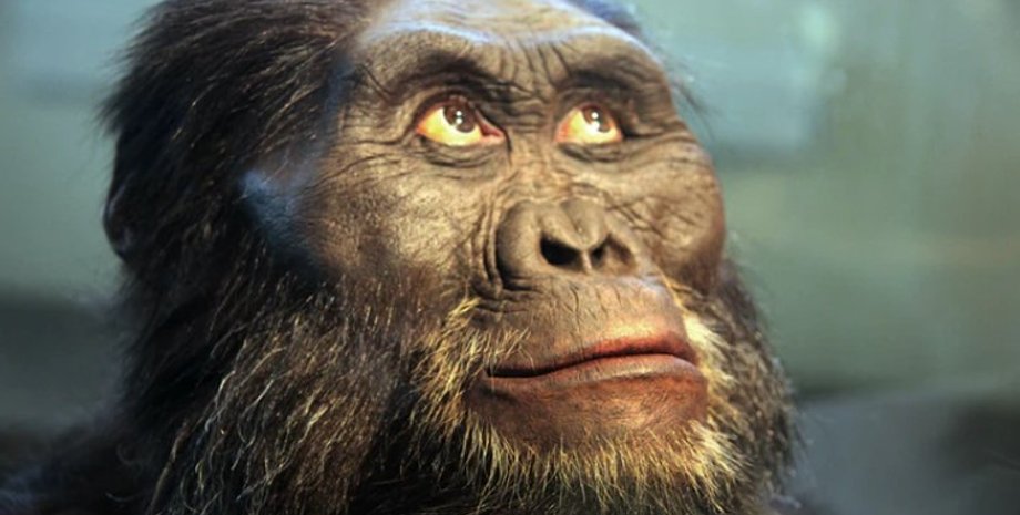 Древний человек, гоминид, реконструкция