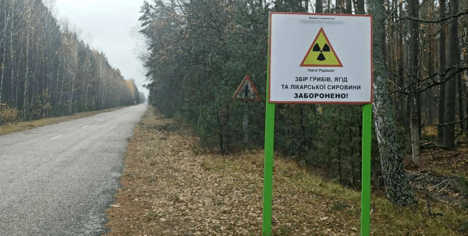 Чернобыльская зона, Чернобыльская АЭС