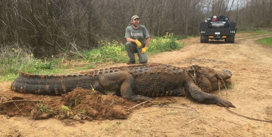 Фото: Matt Wright