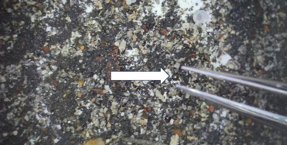 межзвездный объект Ави Леб