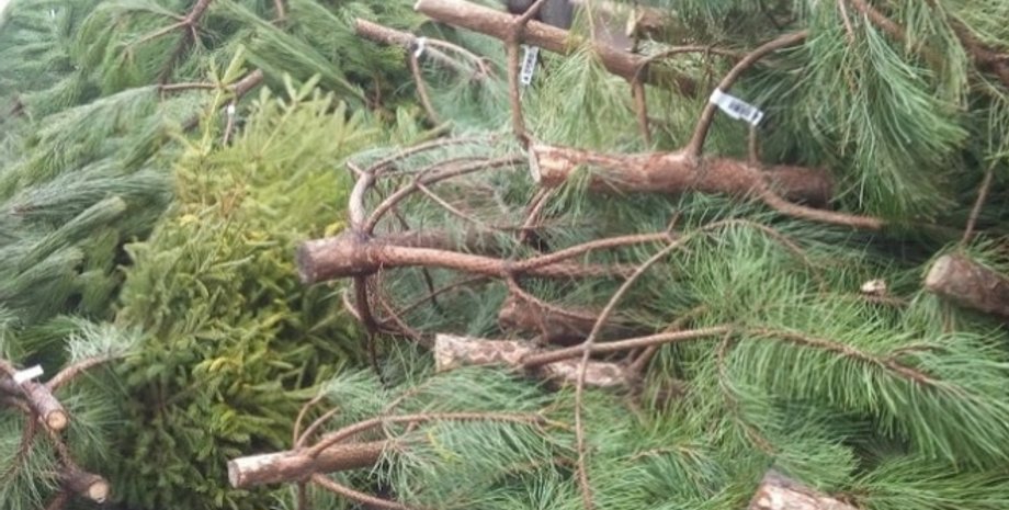 Фото с сайта kyiv.depo.ua