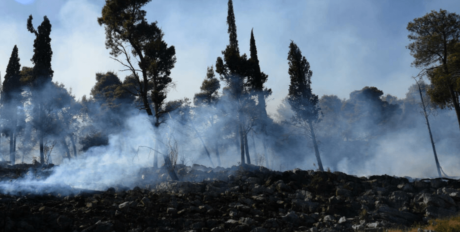 Пожар в Черногории, лесной пожар, Подгорица