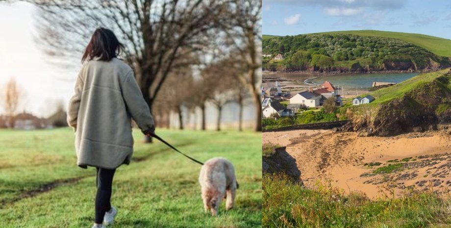 Обрыв, утес, собака, подросток, девушка, сорвалась с обрыва, полиция, город, Девон,