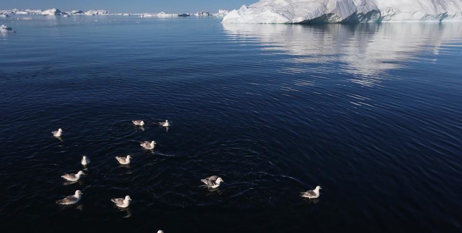 гренландія танення гренландії