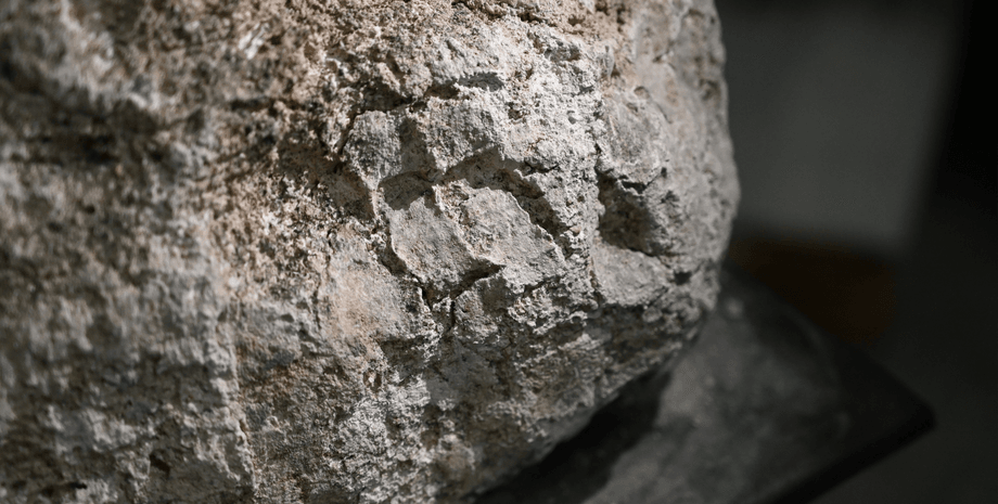 Ученые нашли отпечатки