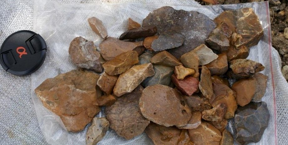 Находки археологов в Суалвеси / Фото: nature.com