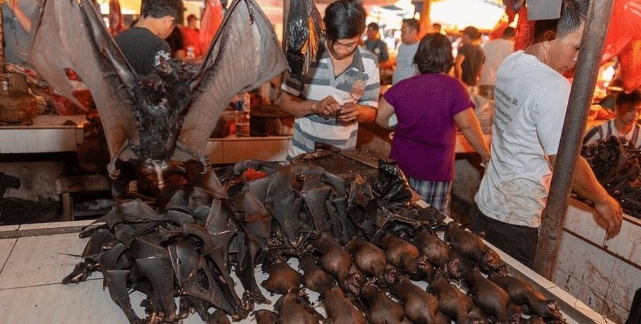 ухань, пандемия, коронавирус, рынок, нулевой, пациент, заражение, источники, covid-19