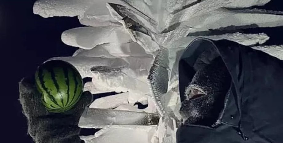 антарктида, арбузы в антарктиде