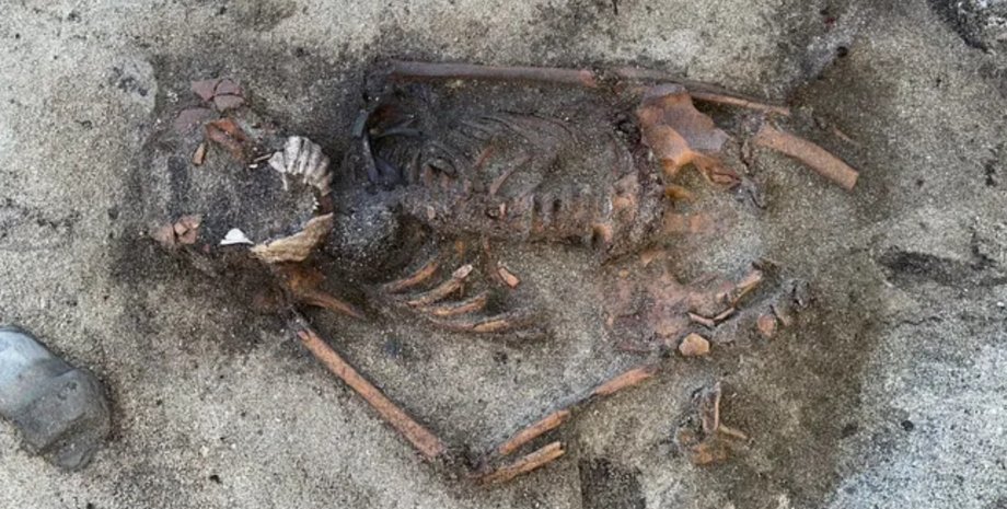 захоронение, морской гребешок, викинги