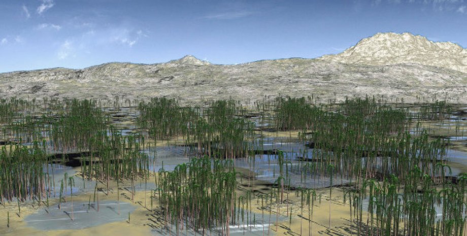 Deming Wang et al. / Current Biology, 2019