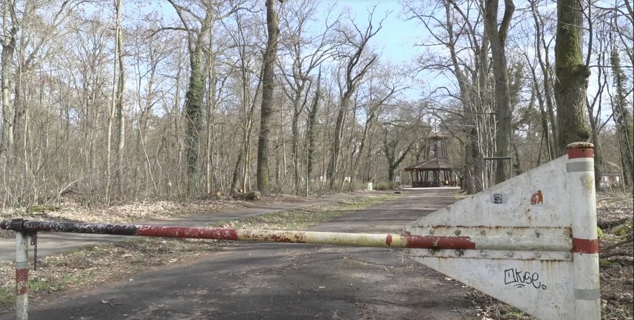 Місце, де було знайдено тіло вбитої в Німеччині українки