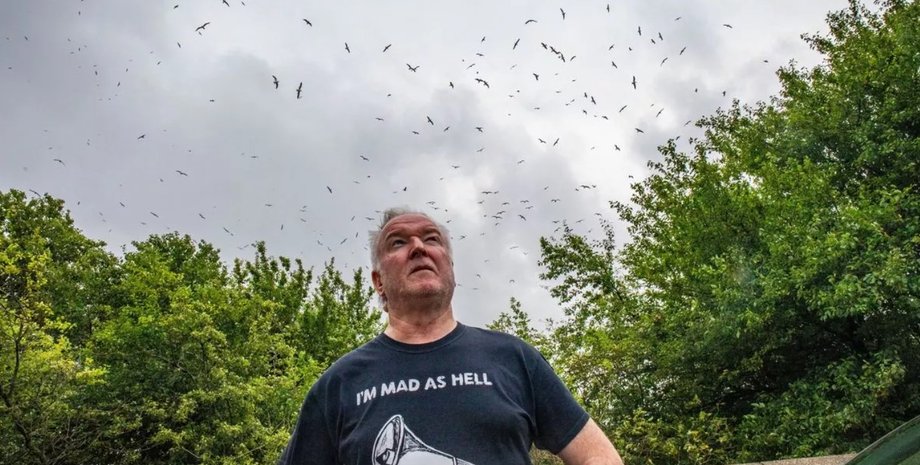 Чайки в Британии, стая чаек, свалка чайки, мусорный полигон птицы, Великобритания свалка, Великобритания свалка