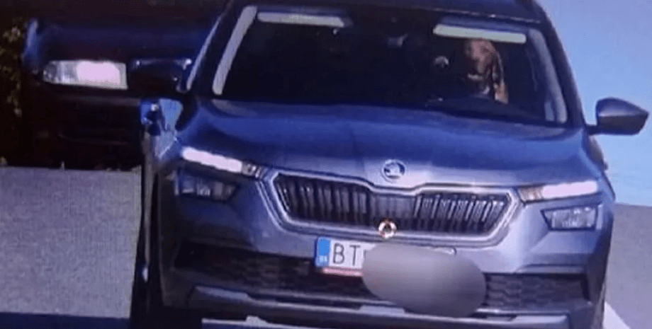 Собака за рулем автомобиля Собака за рулем автомобиля, собака, животное, правила дорожного движения, камера наблюдения, водитель, превышение скорости