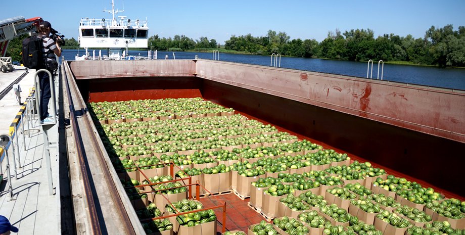 Фото: Нибулон