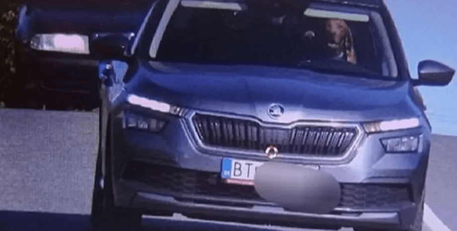 Собака за рулем автомобиля, собака, животное, правила дорожного движения, камера наблюдения, водитель, превышение скорости