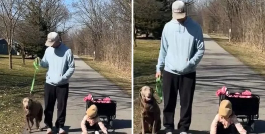Мужчина выгуливает собаку, собака, лабрадор, дочь, маленькая дочь, девочка повторяет за животным, лучшие друзья, мама ребенка, отец и дочь
