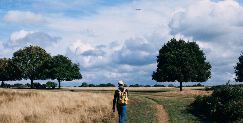 здоровье, ходьба, болезни, сердечно-сосудистая система, темп, скорость, кровь, жир, исследования, ученые, вес, прогулка, преимущества, сила, мышцы