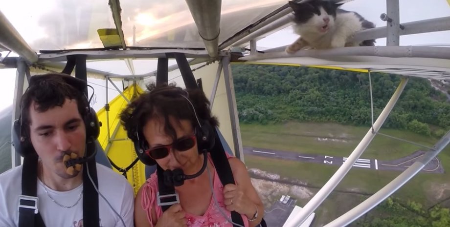 Кадр из видео Youtube