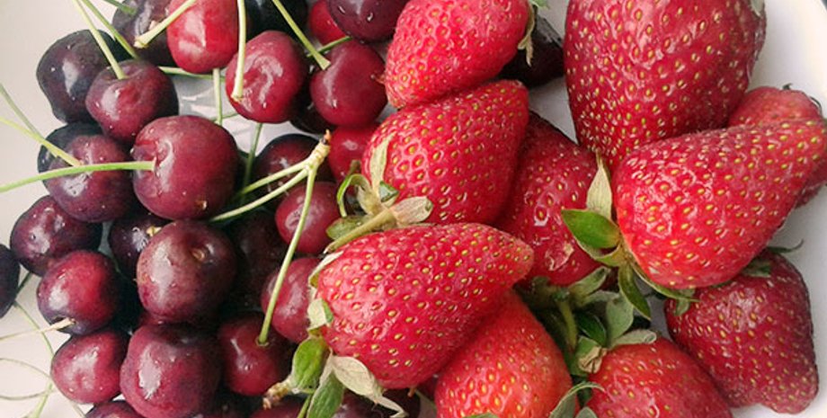 Фото из открытых источников