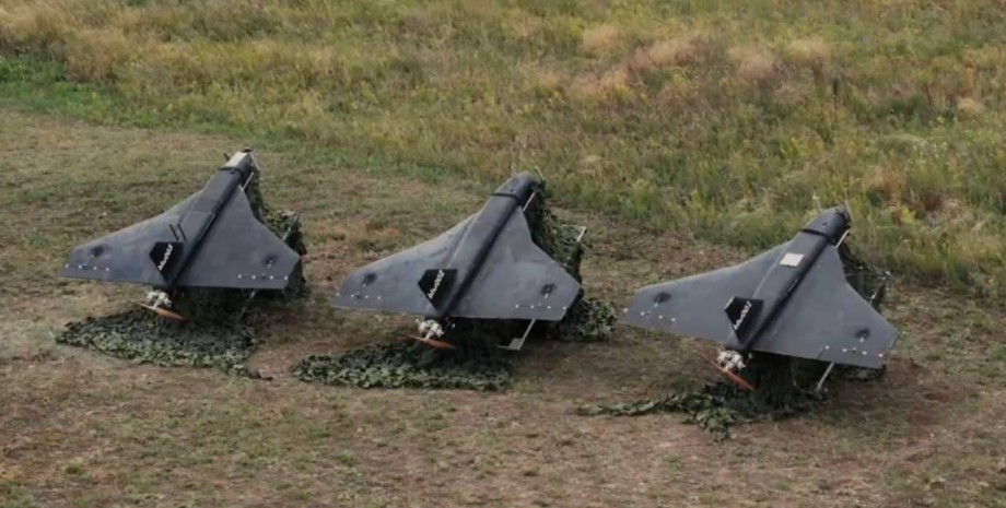 Российские дроны "Гербера" Гербера, дроны, БПЛА, приманки, линзы Люнеберга, фото